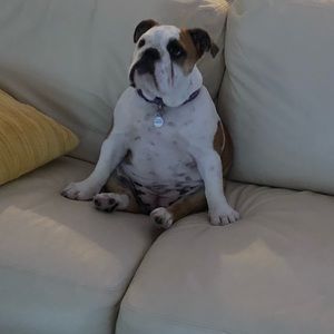 Meet your Posher, Zachary